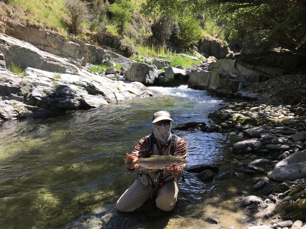 Glendeer Lodge Timaru Luaran gambar